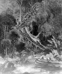 Hauling Canoes Up Inkisi Falls, published 'The Illustrated London News' February 6, 1878 (engraving)