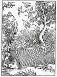 Of ouer open takynges of counsell, illustration from Alexander Barclay's English translation of 'The Ship of Fools', from an edition published in 1874 (engraving)