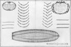 Plan of a vessel with all its floor plates and forks, illustration from the 'Atlas de Colbert', plate 8 (pencil & w/c on paper) (b/w photo)