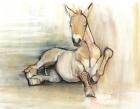 Foal, 2012, (charcoal conté and pastel on paper)