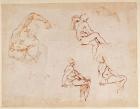 Figure Studies for a Man (brown ink)