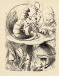 Advice from a Caterpillar, from 'Alice's Adventures in Wonderland' by Lewis Carroll, published 1891 (litho)