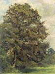 Study of an Ash Tree, c.1851 (oil on paper on panel)