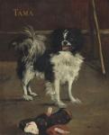 Tama, the Japanese Dog, c.1875 (oil on canvas)
