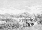 View of the Sugar Fields, Malaga, Spain, from 'The Picturesque Mediterranean', Volume 3, published by Cassell and Co. Ltd., 1880s-90s (engraving)