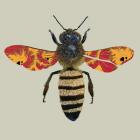 Honey Bee, 2010 (digital)