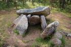 Pedra de Arca dolmen, Galicia (photo)