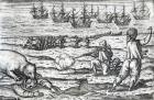 Sailors attacked by polar bears, illustration from 'Diarium Nauticum, seu vera descriptio trium navigationum admirandarum...' by Gerrit de Veer, 1598 (engraving)