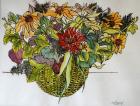 Rudbeckia with foliage in a basket, 2011,(pen, ink and watercolour)