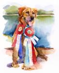 Phog with awards; 2016; (watercolor)