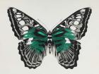 Butterfly green, 2015, (silkscreen print)