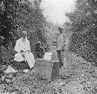 Mid-day halt on the march, from 'Under the African Sun; Under the African sun; a description of native races in Uganda, sporting adventures and other experiences', by William John Ansorge, 1899 (b/w photo)