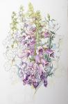 Foxgloves and White Campanulas,2012,(w/c on handmade paper)