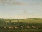 Sir Charles Warre Malet's String of Racehorses at Exercise (oil on canvas)