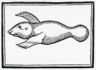 A Fish called 'Manati' from 'la Historia general de las Indias' 1547 (woodcut)