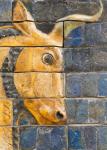 Istanbul, Turkey. Archeological Museum. Glazed brick bull in relief from the Ishtar Gate, Babylon, dating from the Nebuchadnezzar II period circa 604-562 BC.