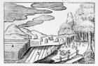 Fruits of the Earth, 1658 (woodcut)