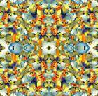 Kaleidoscope Fish Tile