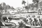 Hunting alligators in the Southern States of America, from an illustration in the 16th century book De Bry's Travels. From The Strand Magazine published 1897.