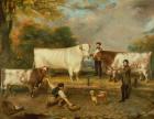 Cows with a herdsman (print)
