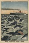 A shoal of whales attacking a liner, back cover illustration from 'Le Petit Journal', supplement illustre, 17th August 1913 (colour litho)
