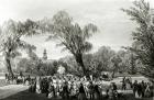 Botanical Gardens, Cape Town, print made by W. Simpson, c.1850s (litho)