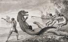 Catching an alligator with lasso, from 'The Amazon and Madeira Rivers', by Franz Keller, 1874 (engraving)