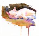 Snowball sleeping, 2014, (watercolor)