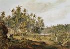 View near Point du Galle, Ceylon, engraved by Daniel Havell (1785-1826) published in 1809 (coloured engraving)