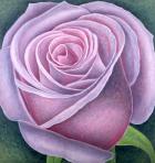 Big Rose, 2003 (oil on canvas)