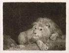 A Lion (A Recumbent Lion) engraved by the artist, pub. 1788 (etching)