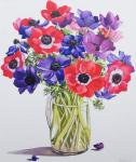 Anemones in a glass jug, 2007 (w/c on paper)