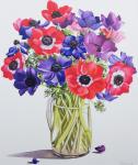 Anemones in a glass jug, 2007 (w/c on paper)