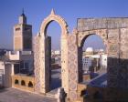 View of Tunis from the Palais d'Orient (photo)
