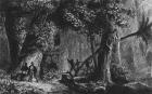 Forest Opening from 'Bresil, Columbie at Guyanes', by Ferdinand Denis and Cesar Famin 1839 (engraving) (b/w photo)