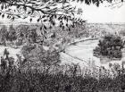 View from Richmond Hill London, 2004, (ink on paper)