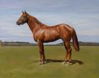 Colt, 2011 (oil on canvas)