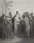 Jesus and His Disciples in the Corn Field, illustration from Dore's 'The Holy Bible', engraved by Pannemaker, 1866 (engraving)