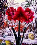 Amaryllis by Snow Window (watercolour on paper)