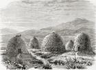 Inhabited huts on Uig, Island of Lewis in the Outer Hebrides in 1859, from 'Scottish Pictures Drawn with Pen and Pencil', by Samuel G. Green, published in 1886 (litho)