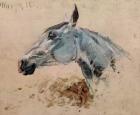 White Horse 'Gazelle', 1881 (oil on canvas)