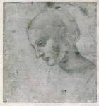 Head of a Young Woman or Head of the Virgin, c.1490 (silverpoint on paper)