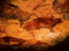 Bison from the Caves at Altimira, c.15000 BC (cave painting)