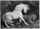 A Horse Affrighted by a Lion, engraved by the artist, 1788 (etching)