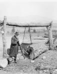 Making maple syrup in the good old fashioned way, c.1906 (b/w photo)