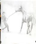 Resisting, 2011 (graphite on paper)