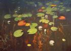 Water Lilies 1895 (oil on canvas)