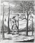 Gardening and Plant Maladies, an illustration from 'Neue Garten-lust' by Heinrich Hesse, 1696 (engraving)