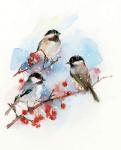 Chickadees with Berries, 2017, (watercolor)