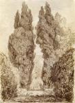 Large Cypresses at the Villa d'Este (red chalk on paper)